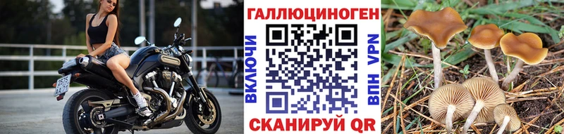 Псилоцибиновые грибы GOLDEN TEACHER  Купить  Слободской 